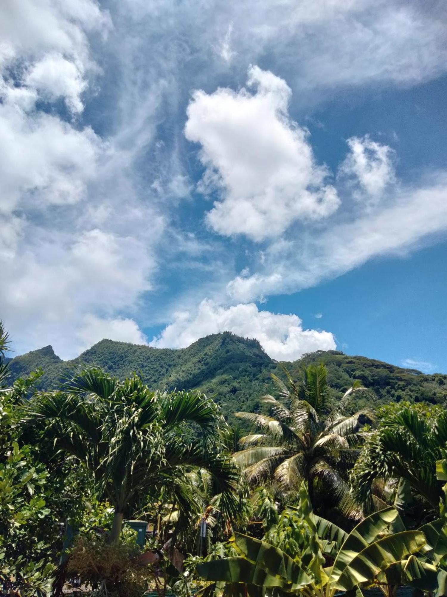 Bungalow Vue Lagon 180 Degre, La Maison Bleue Moorea Pokoj fotografie