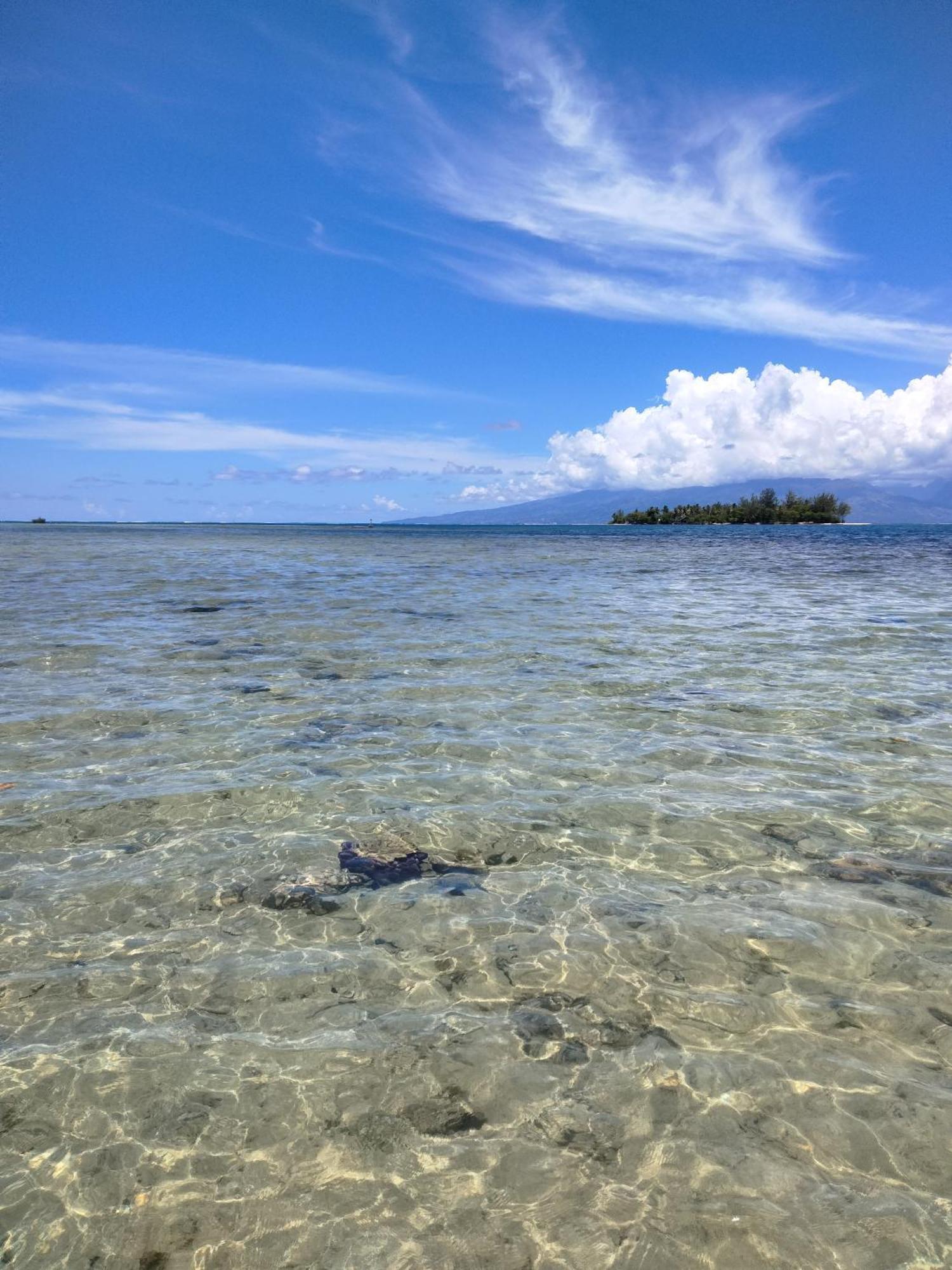 Bungalow Vue Lagon 180 Degre, La Maison Bleue Moorea Exteriér fotografie